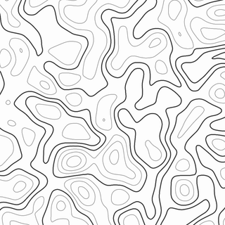 Topographic Pattern 