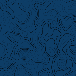 Topographic Pattern 