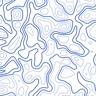 Topographic Pattern 