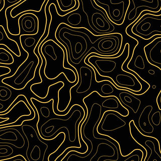 Topographic Pattern 