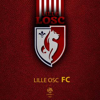 LOSC Lille