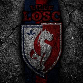 LOSC Lille