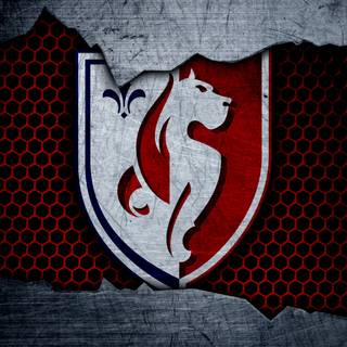 LOSC Lille