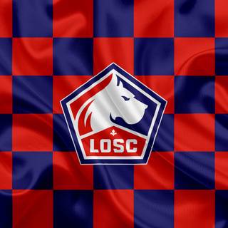 LOSC Lille