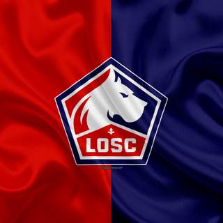 LOSC Lille