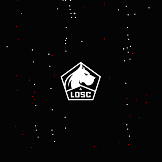 Lille,France,Football