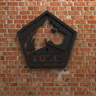 LOSC Lille