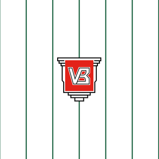 Vejle Boldklub