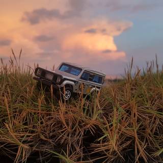 Toy Car In Grass