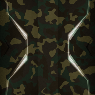 Camouflage 