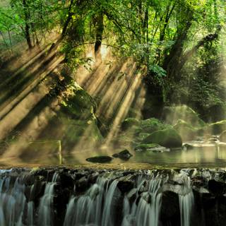 4k Nature Wallpaper