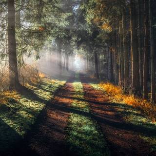4k Nature Wallpaper