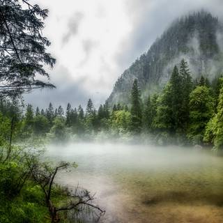 4k Nature Wallpaper