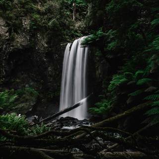 4k Nature Wallpaper