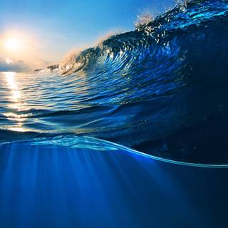 4k Nature Wallpaper