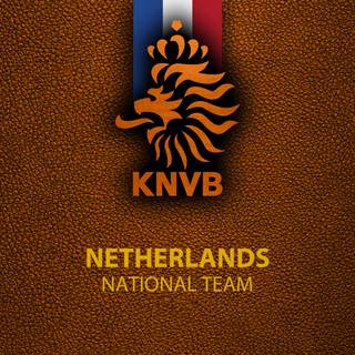 Netherlands National Football Team