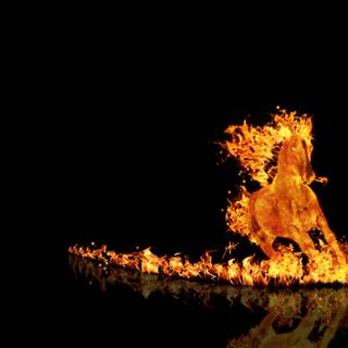4k Fire Wallpaper