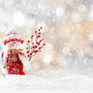 snow day!!!!!!!!!!!! for me again