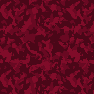 Camo Pattern 