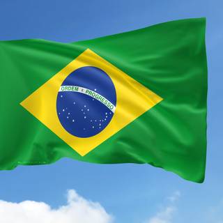 Flag Of Brazil