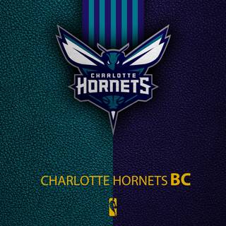 Charlotte Hornets