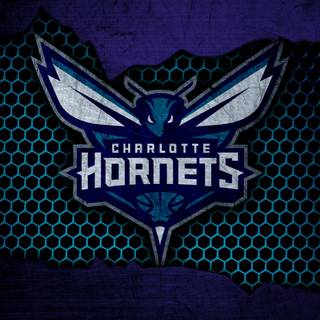 Charlotte Hornets