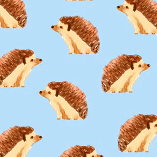 Hedgehogs