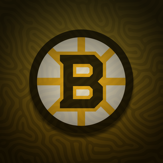 Boston Bruins