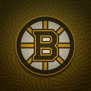 Boston Bruins