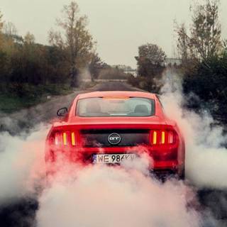 Mustang