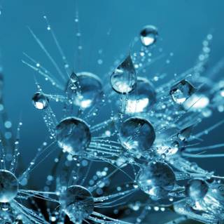 4k Water Drop Wallpaper