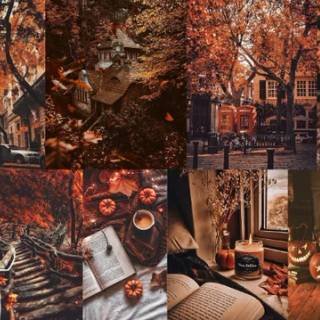 Who cares if its not fall?