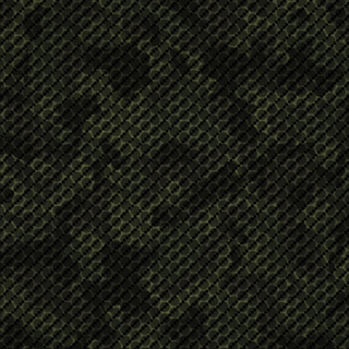 Camouflage 