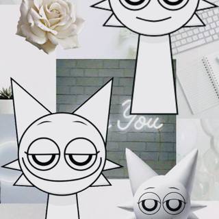 Wenda wallpaper colloge