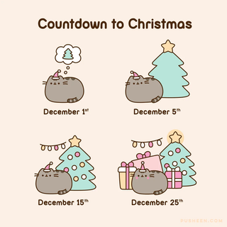 Pusheen christmas