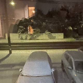 Winter wonderland infront of my home