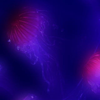 Jellyfish 