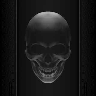 Skull 