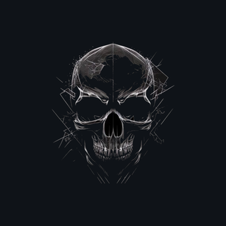 Skull Art