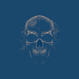Skull Art