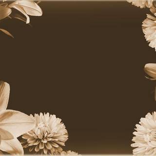Old Flower Background