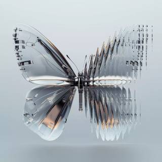 Glass butterfly