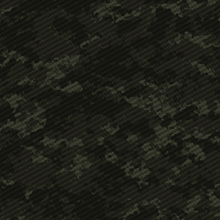 Camouflage 
