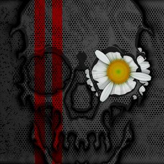 WQHD Wallpaper Skull Flower