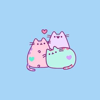 credit me! cute catsss