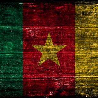 Flag Of Cameroon