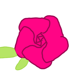 pink flower with black backround