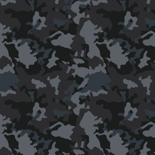 Camouflage 