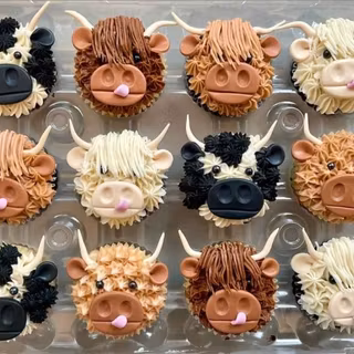 Highland Cows cupcakes