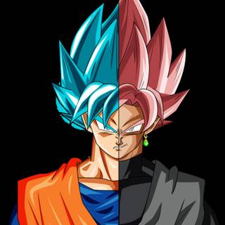 half Goku half Goku black